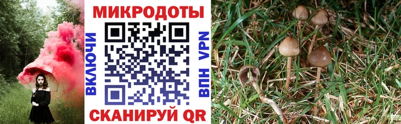 Псилоцибиновые грибы ЛСД  Москва 